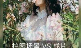 咸宁大爆料完整视频,揭秘事件真相，视频内容深度解析