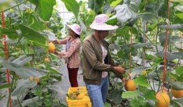 济南吃瓜网红地,一网打尽地道美食与市井风情