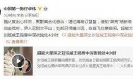 反转预言爆料视频在线观看,揭秘视频背后的惊人真相