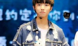 狗仔队爆料王俊凯视频播放,狗仔队揭秘幕后真相