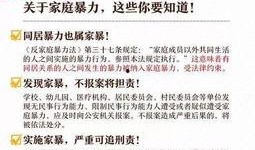 爆料小孩家暴视频大全集,小孩家暴视频大全集深度剖析