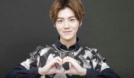 圈内人爆料鹿晗完整,圈内人爆料背后的真实故事