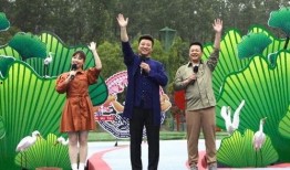 海丰最新爆料新闻视频,视频揭露惊人内幕，真相令人震惊！