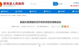 蓝厂最新系统爆料消息新闻,颠覆性升级，引领科技新潮流