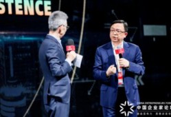 小雷爆料王传福视频,王传福视频曝光，新能源汽车巨头背后的故事