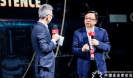 小雷爆料王传福视频,王传福视频曝光，新能源汽车巨头背后的故事